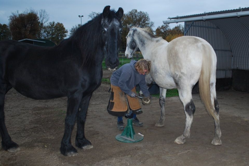 Ik tijdens het bekappen van een paard